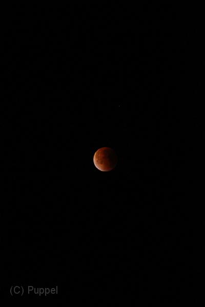 D_20150928-052138 IMG_0542.jpg